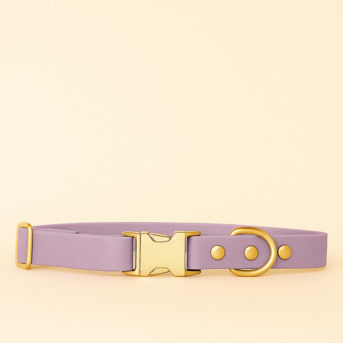 COLLIER BIOTHANE VIOLET PASTEL