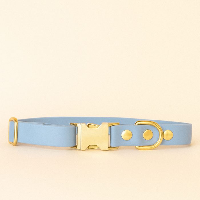 COLLIER BIOTHANE BLEU POLAIRE