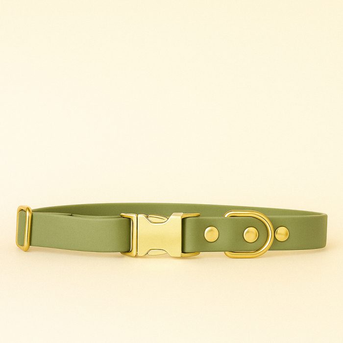 COLLIER BIOTHANE VERT GUACAMOLE